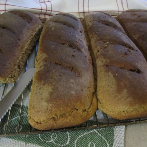 Vörtbröd