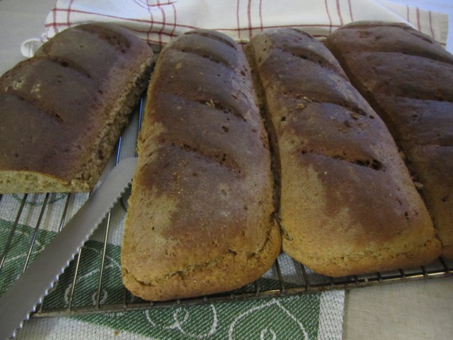Vörtbröd